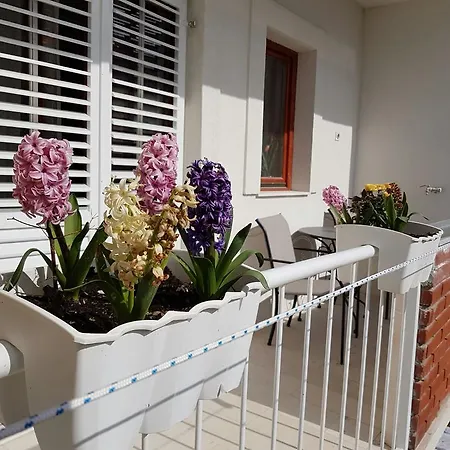 Vice Mali Apartment